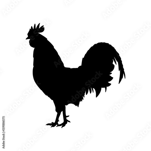 Rooster vector Illustration. Hen black silhouette for meat shop, farm. Template design