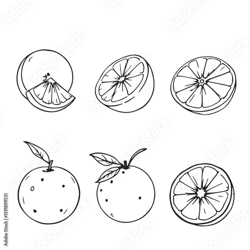 Minimalist Orange Fruit Vector Line Art Design