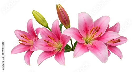 Pink Lily Whisper AI Generated