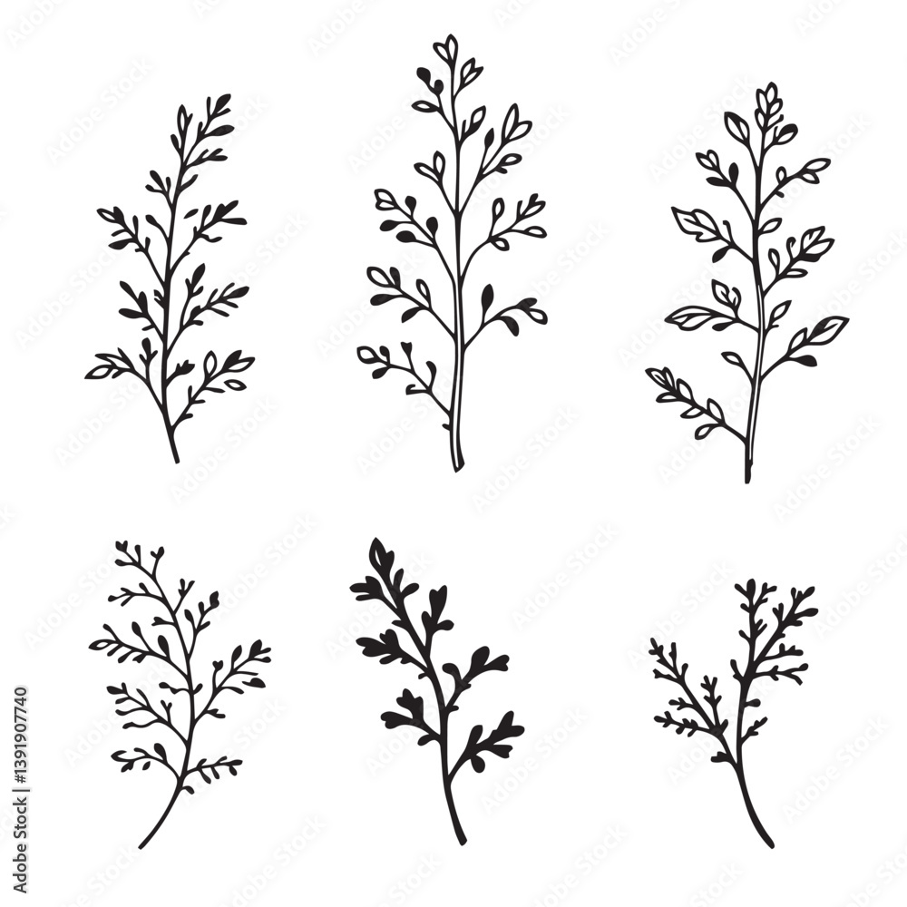 Obraz premium Modern Tarragon Leaf Vector Illustration for Decor