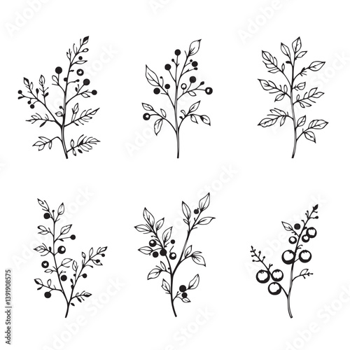 Sea Buckthorn Vector Line Art Minimalist Design Inspiration