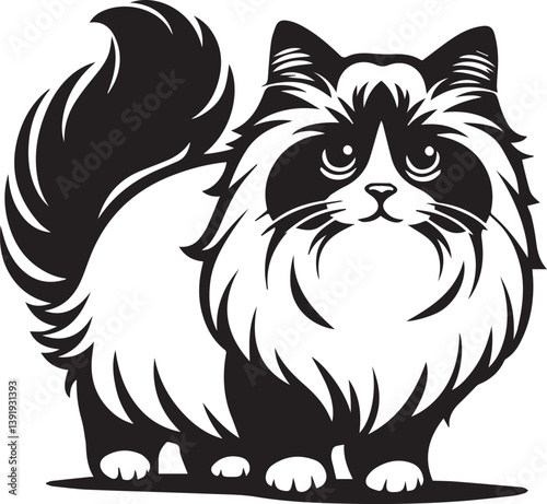 Black and White Ragdoll Cat Vector