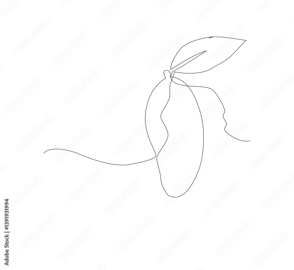 Obraz premium Simple Vector Image of Mango Fruit