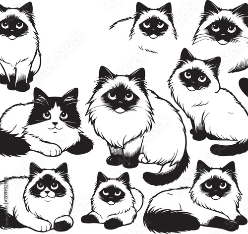 Black and White Ragdoll Cat Vector