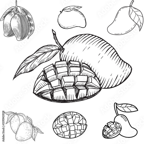 Set of mangoes vector illustrations - hand drawn mangoes - black and white mangoes
