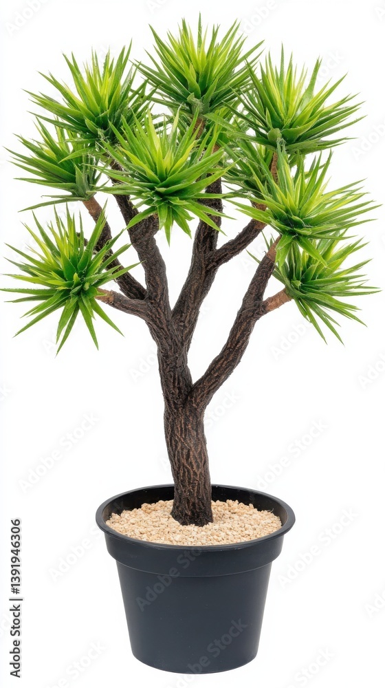 Obraz premium A striking artificial Joshua tree with twisted branches in a black pot presents a captivating desert landscape aesthetic ideal for interior design and home decor projects adding a