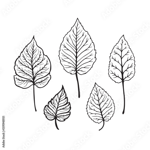 Beautiful Peepal Leaf Minimalist Line Art Drawing