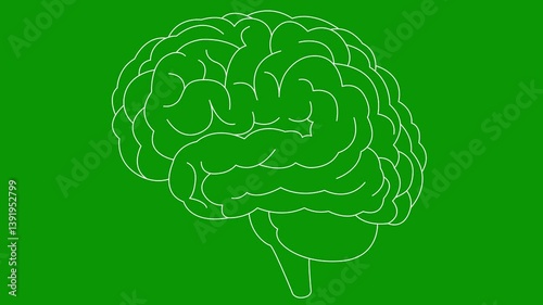 Wallpaper Mural Animated linear white symbol of brain. Icon is drawn gradually. Concept of idea, creative, intellect, education, mental health. Line vector illustration isolated on green background. Torontodigital.ca