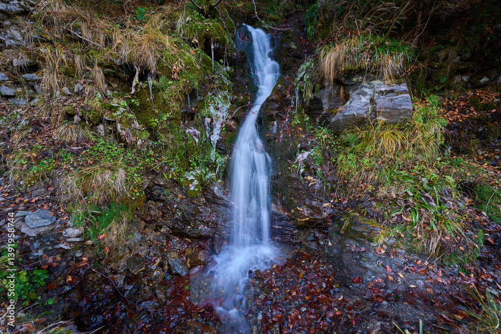 Small forest hillside waterfall.........