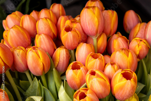 Canvas Print Beautiful multicolored tulips at the market.