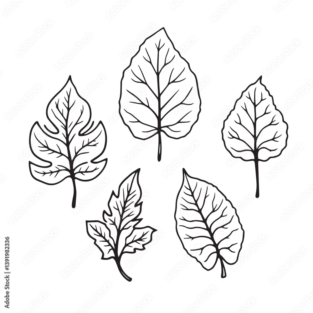 Fototapeta premium Stunning Monstera Vector Line Art for Modern Design