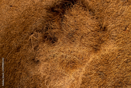 natural coconut fiber used in the mattress to provide rigidity