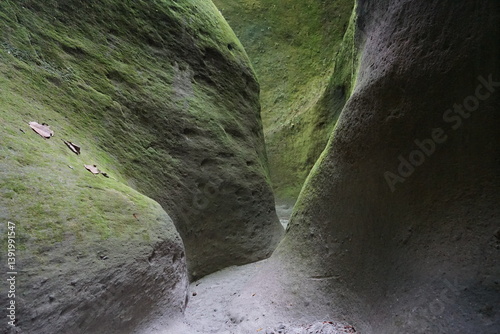 Avatar Gorge