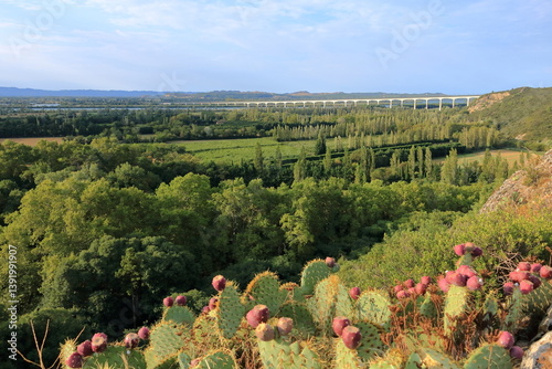 Fotografie Long bridge Viaduc Double Ferroviaire over the Rhone River for TGV trains near A