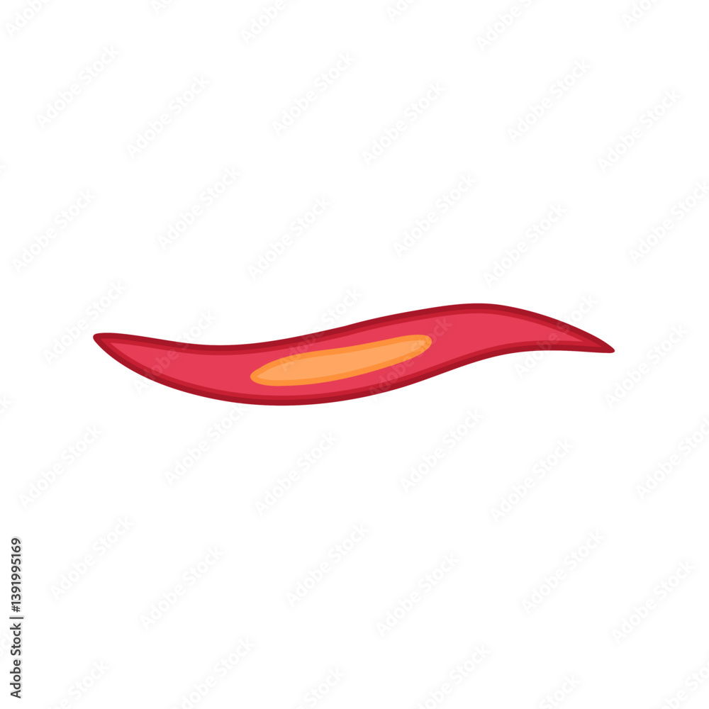 Smooth muscle tissue. Medical vector illustration. Smooth muscle tissue. Medical vector illustration.