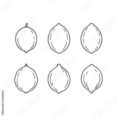 Stunning Lemon Vector Line Art for Graphic Artists