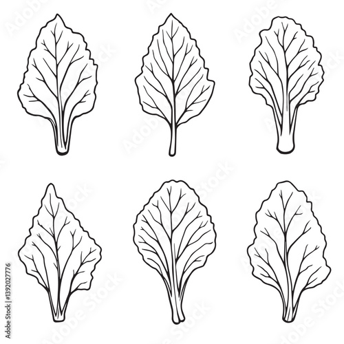 Elegant Kohlrabi Leaf Line Art Vector for Creatives