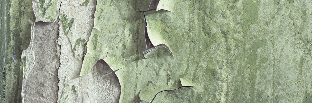 Peeling paint on the wall. Panorama of a concrete wall with old cracked flaking paint. Weathered rough painted surface with patterns of cracks and peeling. Grunge texture for wide panoramic background