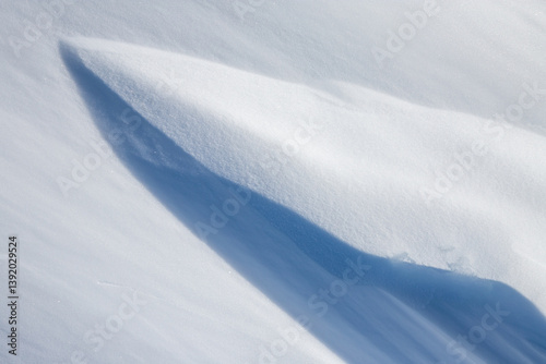 Obraz na płótnie Beautiful winter background with snowy ground. Natural snow texture. Wind sculpted patterns on snow surface. w salonie