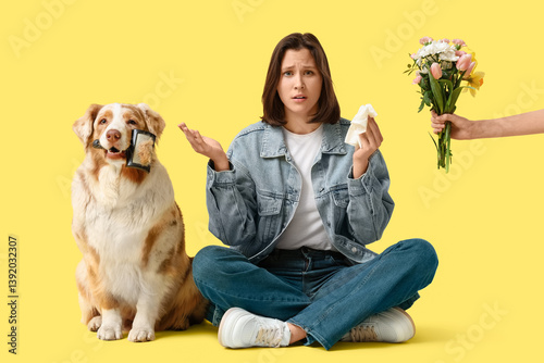 Dog, sneezing young woman a...