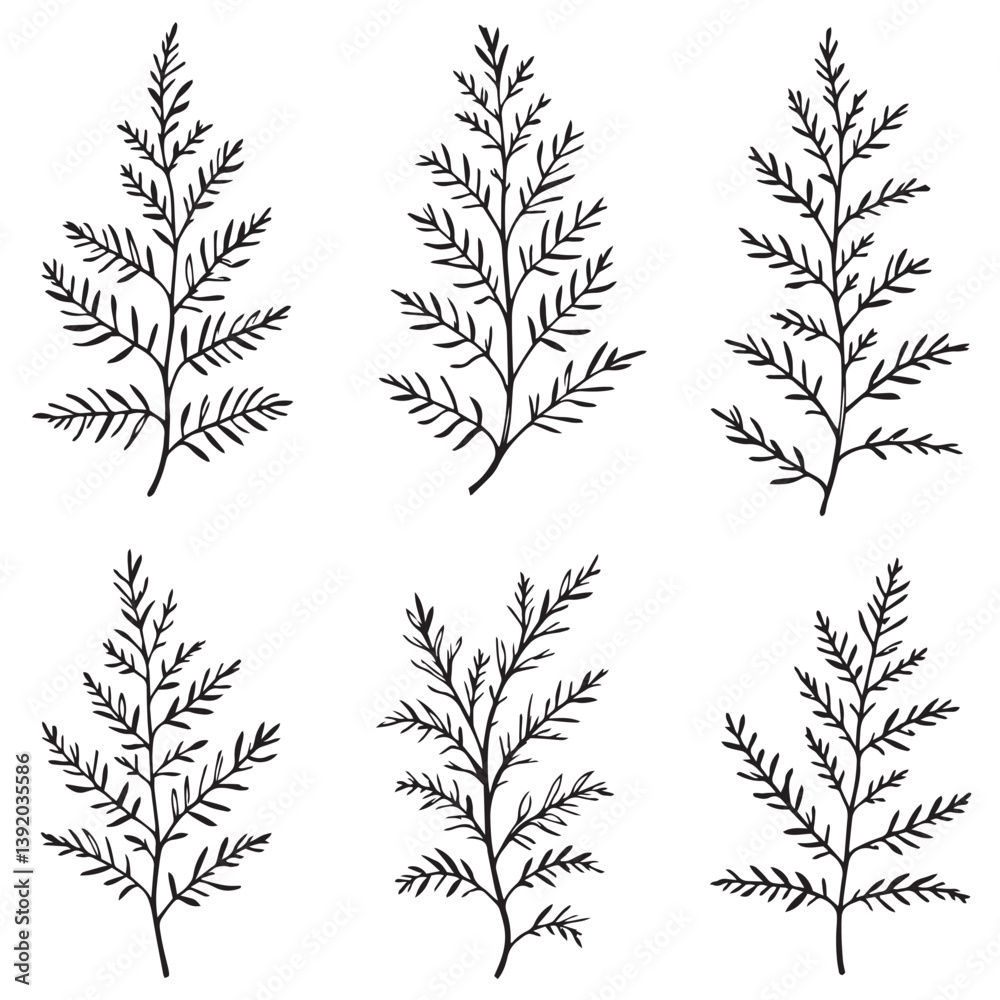 Naklejka premium Larch Leaf Vector Line Art Elegant Design Ideas