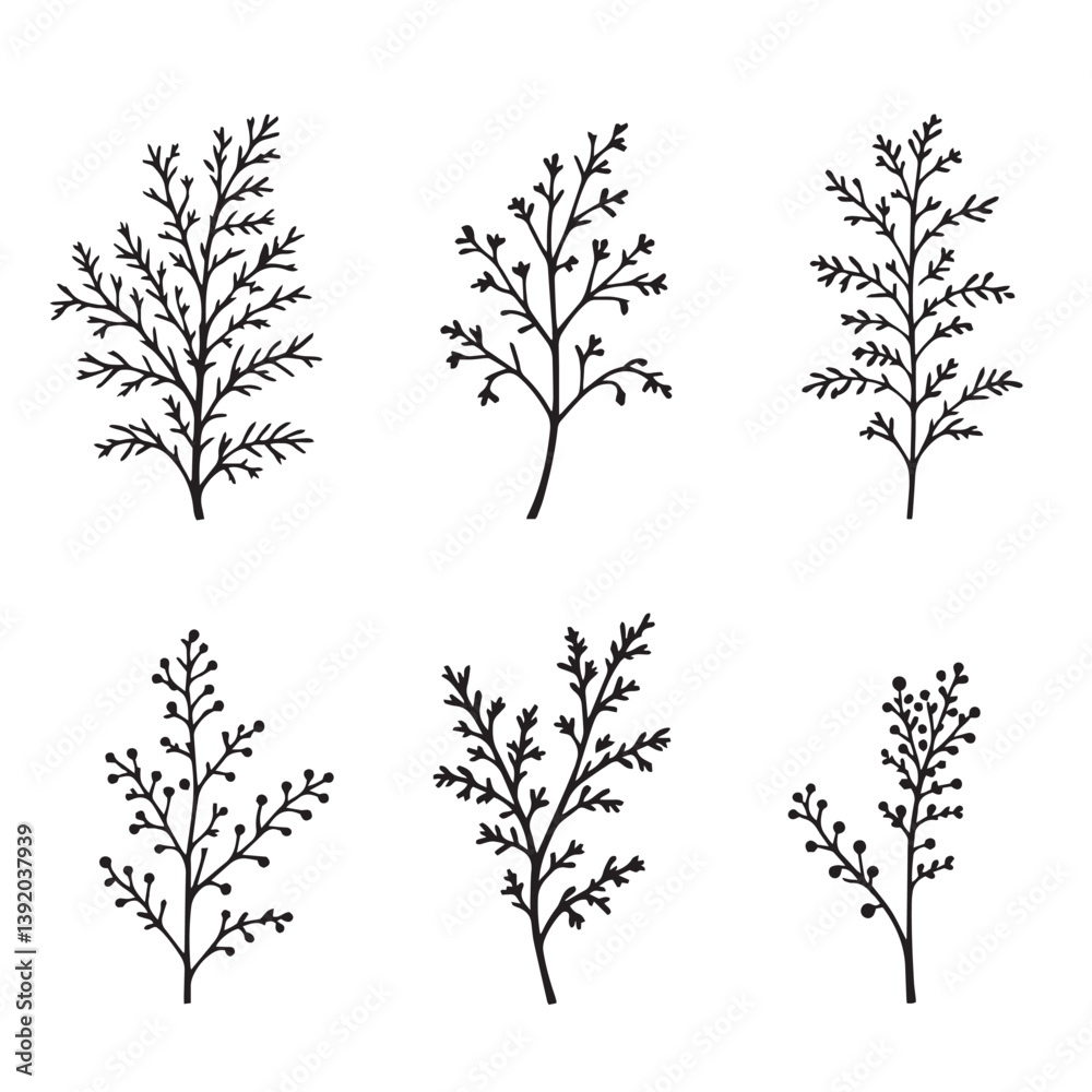 Fototapeta premium Elegant Dill Leaf Vector Line Art Design