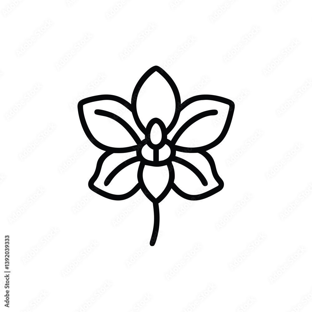 Minimalist Orchid Flower Line Art Illustration For Fashion And Botanical Design Projects Minimalist Orchid Flower Line Art Illustration For Fashion And Botanical Design Projects