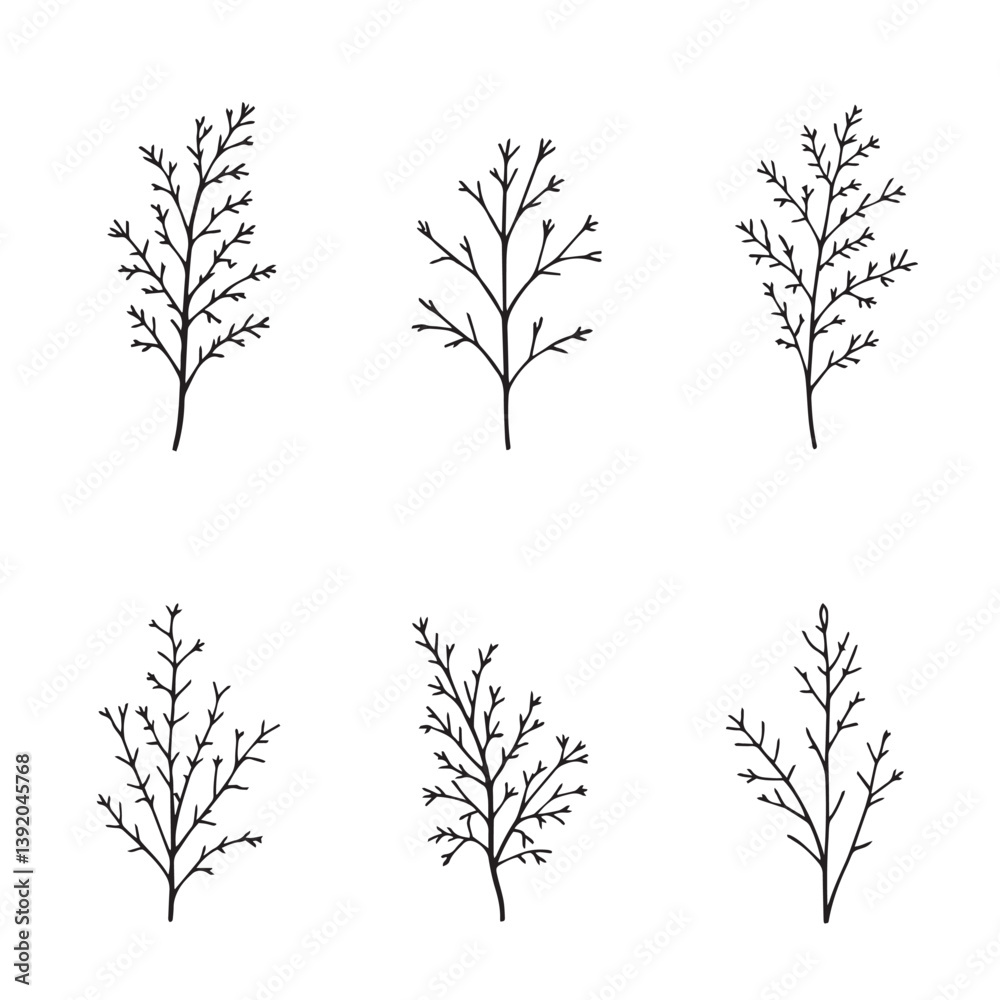 Obraz premium Botanical Dill Leaf Line Art for Decor