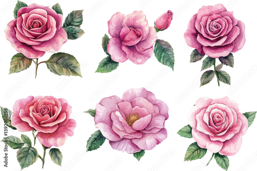 Fototapeta premium set of roses vector illustration