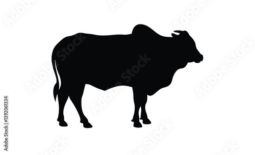 Strong brahman bull standing silhouette, Brahman Bull silhouette vector art white background 
