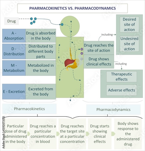 Pharmacokinetics vs. Pharmacodynamics - Advanced Pharmaceutical Sciences