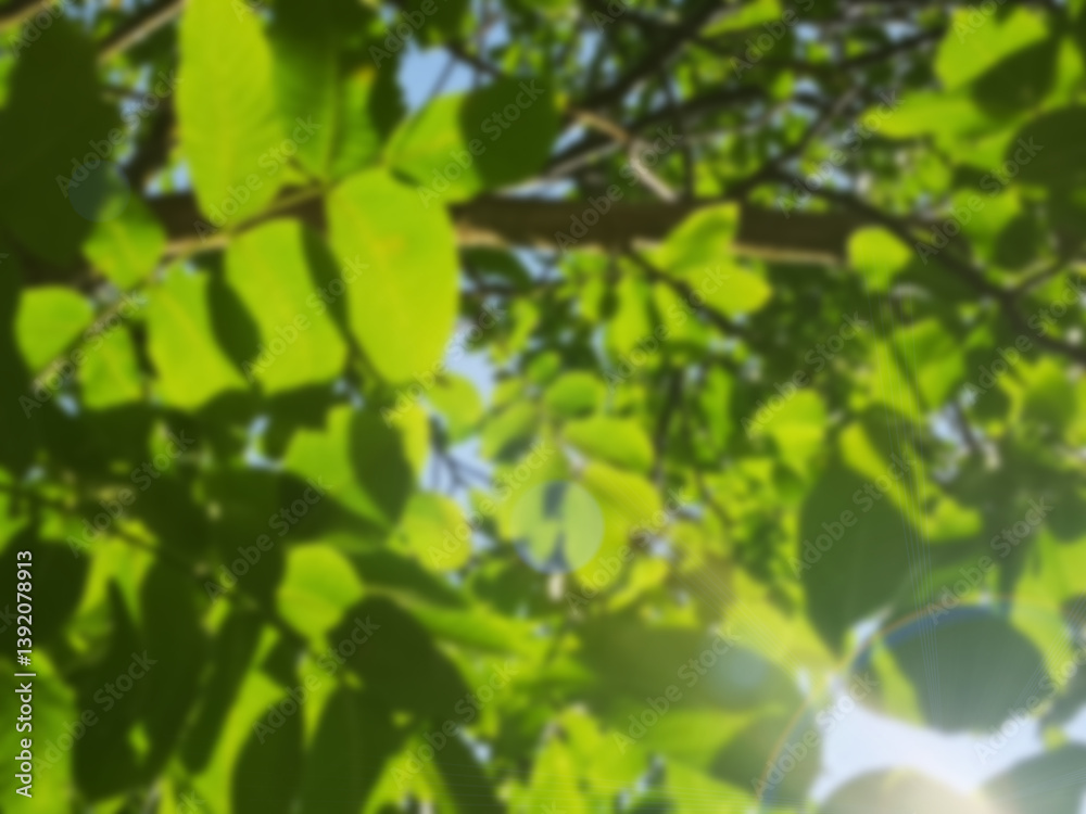Blurred green abstract spring background Blurred green abstract spring background