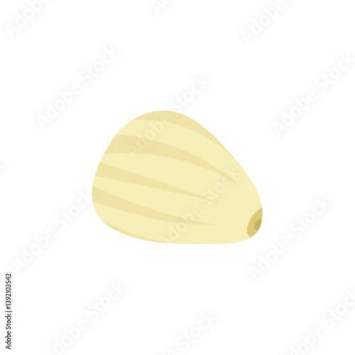 Peeled garlic illustration. Spice ingredient for culinary design.