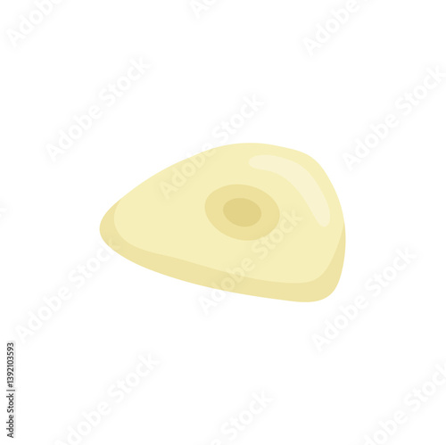 Peeled garlic illustration. Spice ingredient for culinary design.
