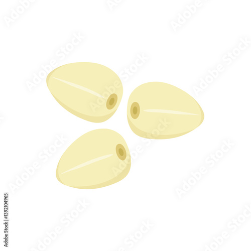 Peeled garlic illustration. Spice ingredient for culinary design.