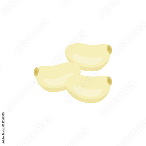 Peeled garlic illustration. Spice ingredient for culinary design.
