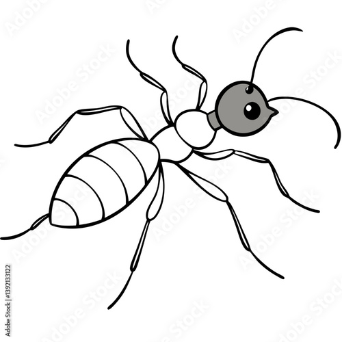 Ant white background