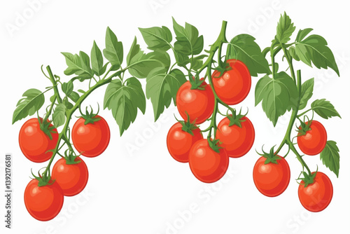 A bunch of ripe juicy red tomatoes on the vine isolated against a transparent background