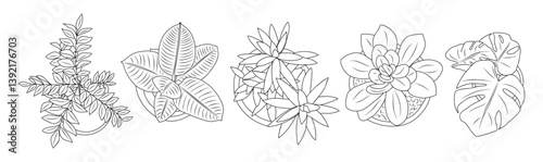Set of different house plants top view. Cactus, aloe, monstera, palms black line art icons for landscape, architectural, interior design. Hand drawn Vector sketch isolated on white background