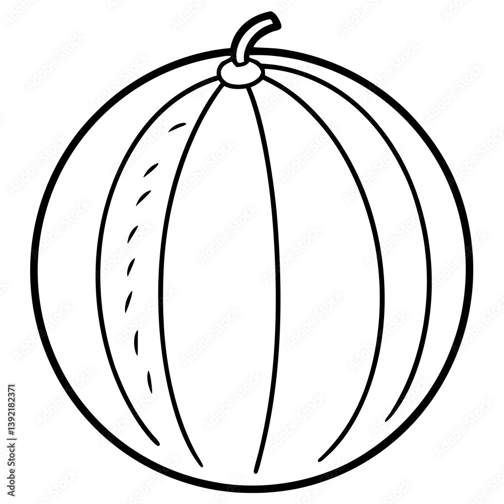 Minimal Cantaloupe Vector Illustration on White Background Minimal Cantaloupe Vector Illustration on White Background