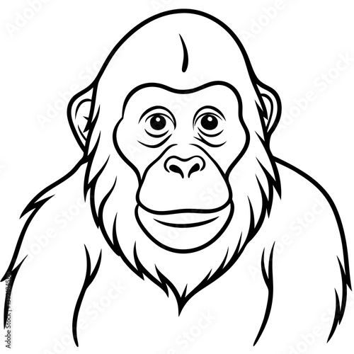 Minimalist Orangutan Line Art Vector