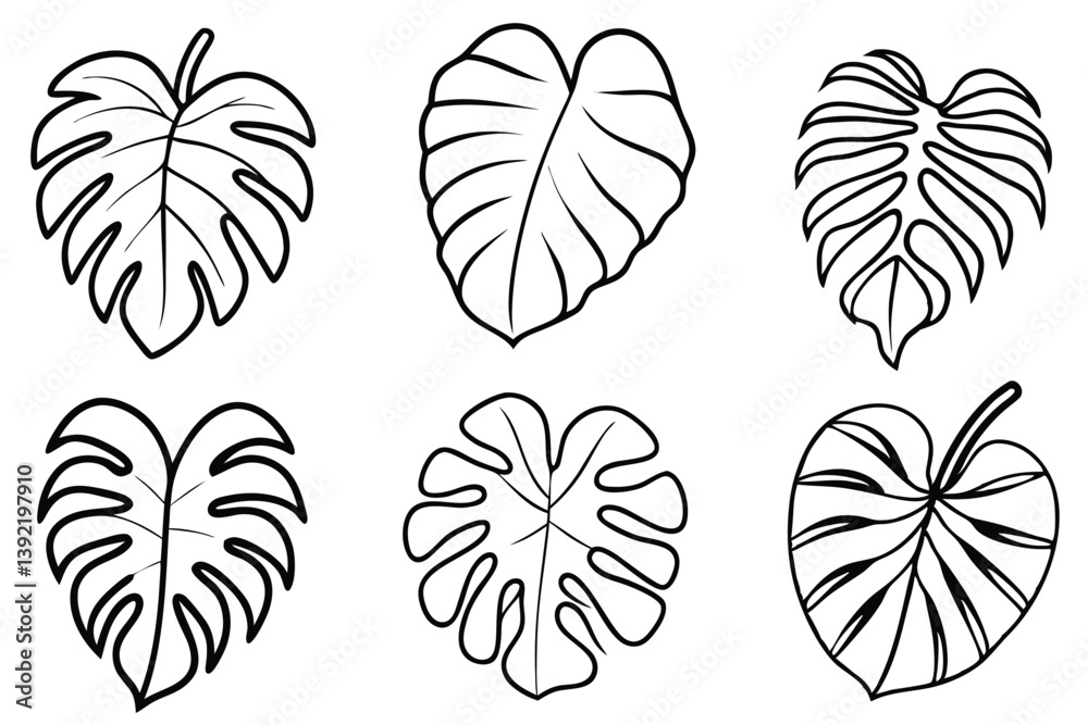Monstera Leaf Line Art Simple Drawing for Nature Artwork Monstera Leaf Line Art Simple Drawing for Nature Artwork
