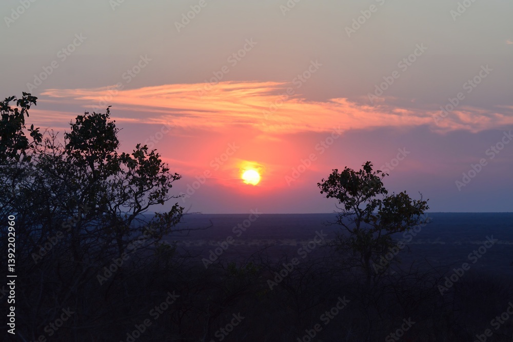 Fototapeta premium Sunset in africa Savanna