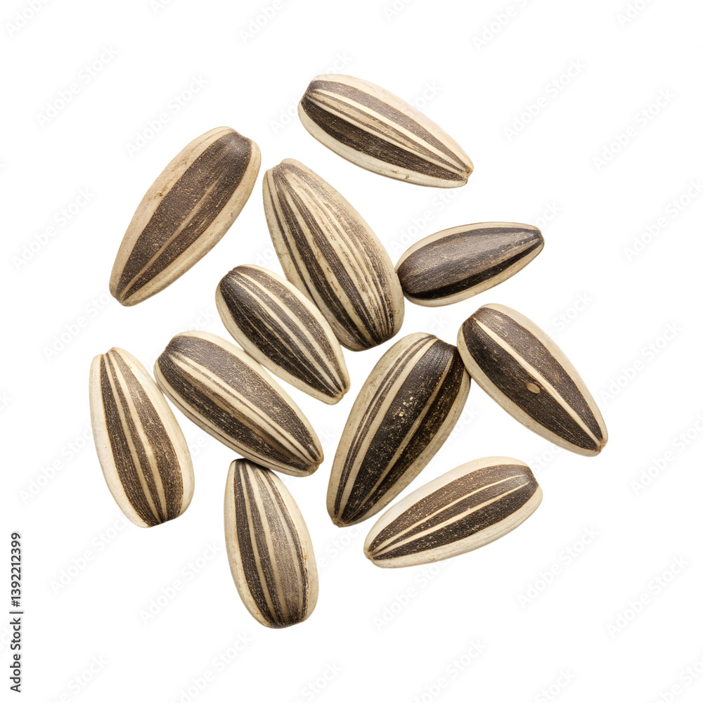 Obraz premium A Collection of Ten Delicious Striped Sunflower Seeds on a Gray Background transparent background Generative AI