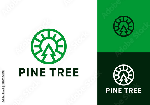 sun pine tree nature logo design vector concept