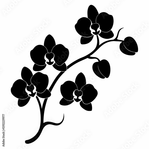 Black silhouette of orchid flowers