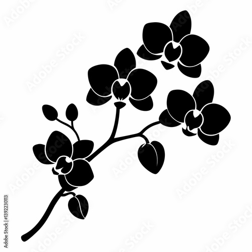Black silhouette of orchid flowers