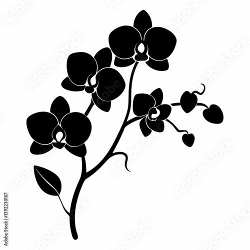 Black silhouette of orchid flowers
