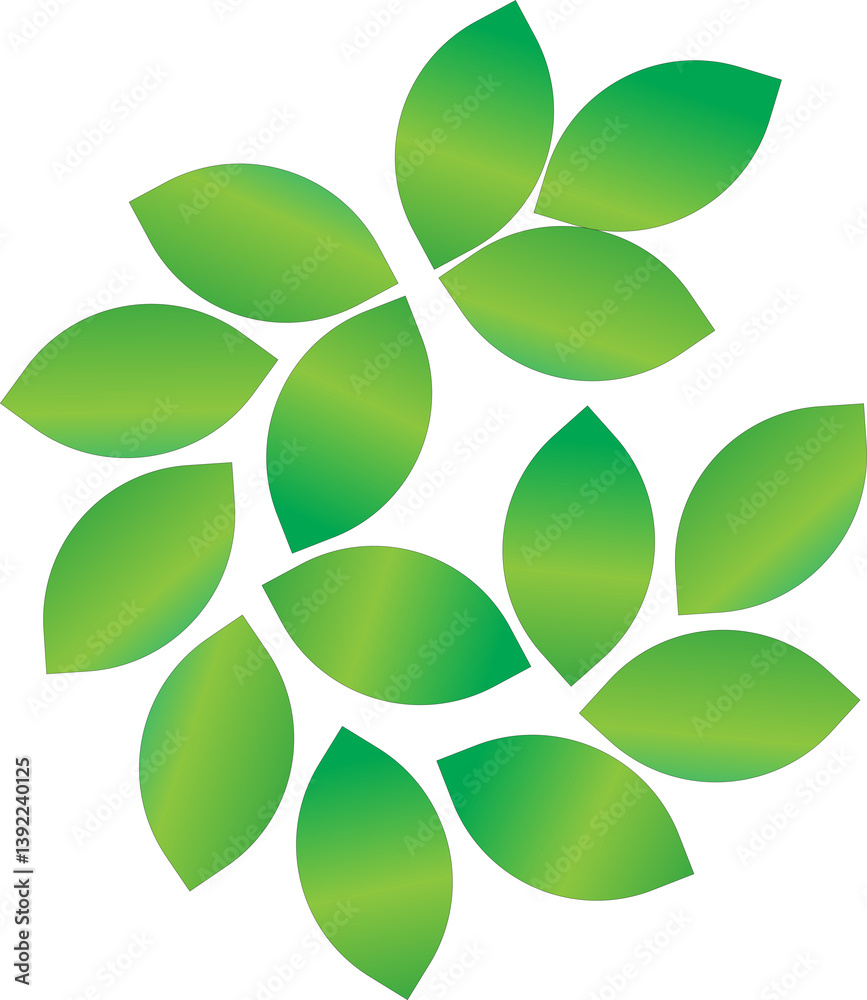 Fototapeta premium green leaves vector