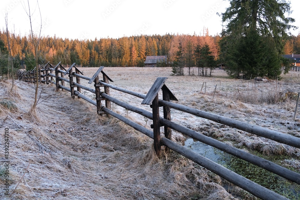 Grey Glade (Siwa Polana) with wooden fence covered with frost on early spring morning. This is the beginning of the Chochołowska Valley.
